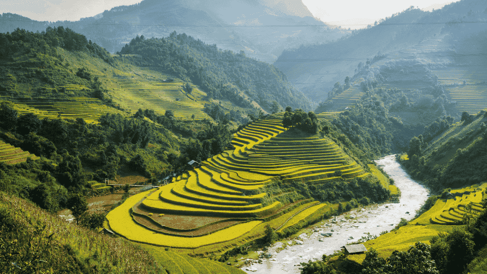 How to Set Up an Entity in Vietnam: A Practical Guide